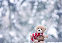 20+ Cute Teddy Bear Wallpaper sad teddy bear in snow