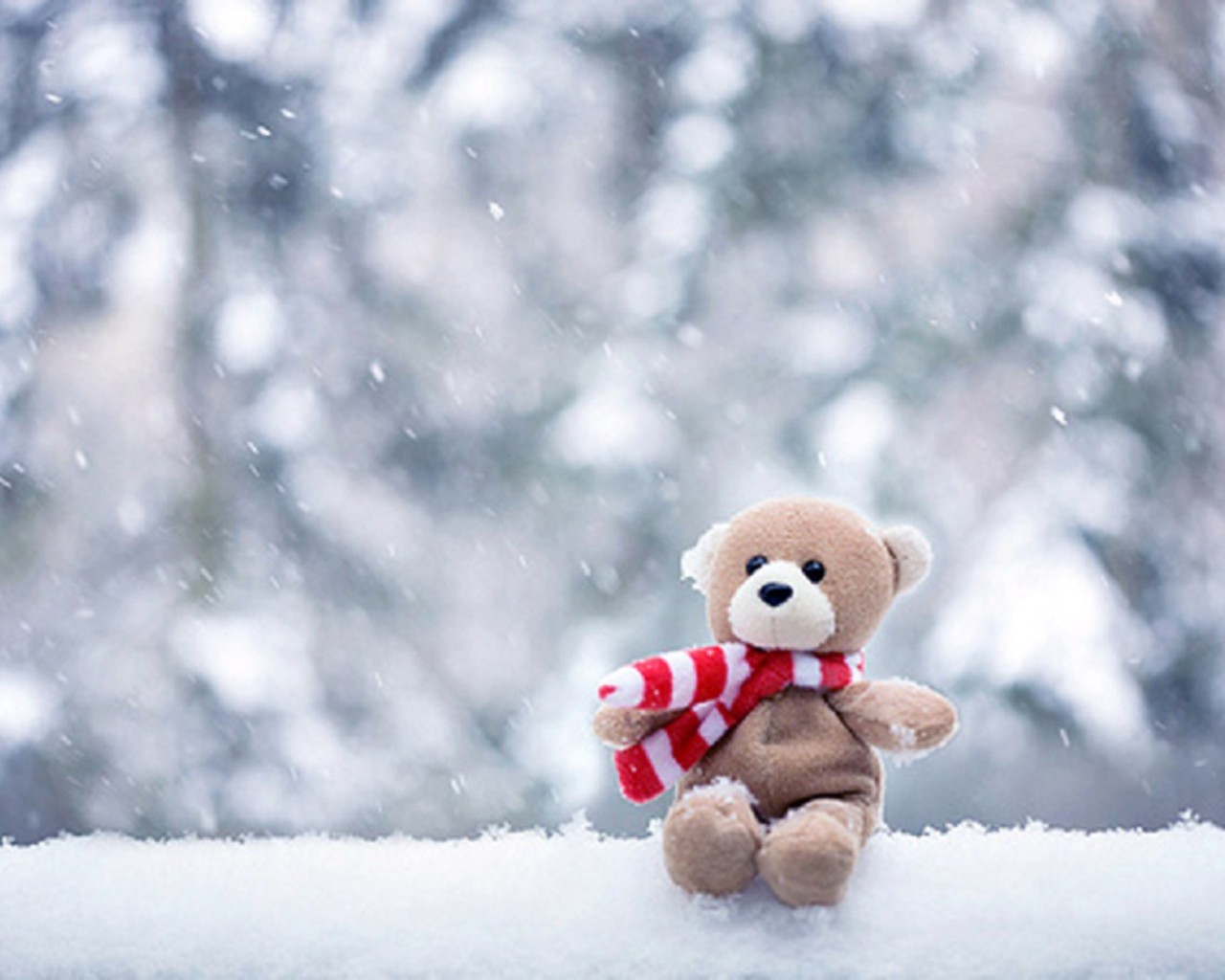 sad teddy bear in snow