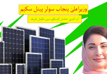 وزیراعلیٰ پنجاب مریم نواز سولر پینل اسکیم: اپلائی کرنے کا طریقہ کار