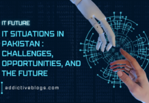 IT Situations in Pakistan: Challenges, Opportunities, and the Future IT Situations in Pakistan